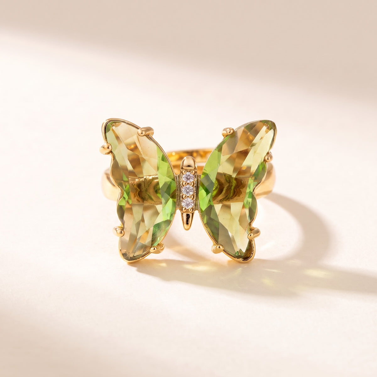 Nabi Ring, Fern